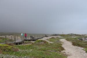 Walkway to Most Southern Tip of Africa (Where the two oceans meet)